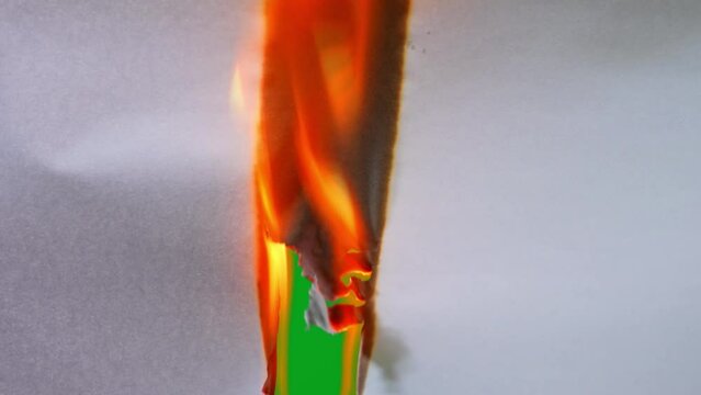 Fire flame burning paper to show green screen background
