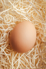 Whole chicken egg on straw. Top view.