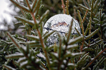 Christmas disco ball decoration on a snowy Christmas tree branch. Selective focus