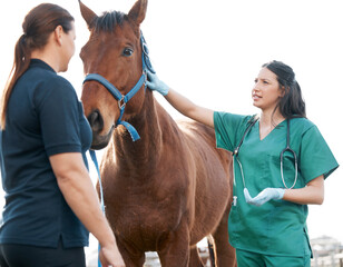 Has he been eating normally. Shot of an attractive young veterinarian standing with a horse and its...