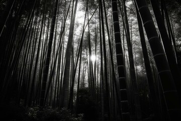 Black and white bamboo forest. Generative AI