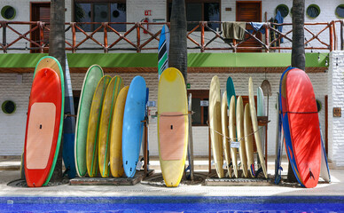 Surf Boards