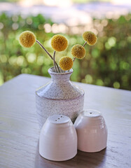ceramic salt and pepper shakers