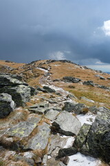 Icy mountain path