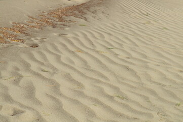 sand