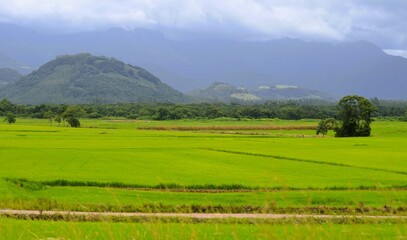 Paisagem no sul do Brasil