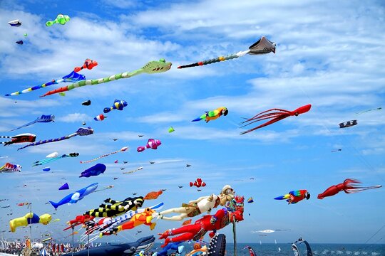 Image of a gathering of many kites on the beach at Pinarella di Cervia. Pinarella di Cervia, Ravenna, Italy