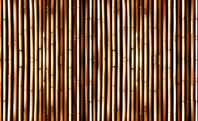 Fototapeta premium Bamboos texture background. Old bamboo vintage retro style textured background. Creative work hand drawing. Digital art illustration
