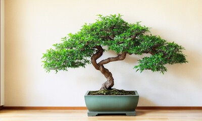 Clean blank sage wall with large Japanese bonsai (Generative AI) - obrazy, fototapety, plakaty