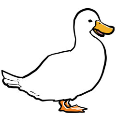 Illustration of a simple and realistic duck