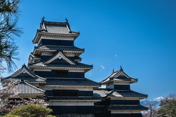 長野県松本市の松本城と青空