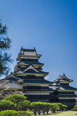 Fototapeta premium 長野県松本市の松本城と青空