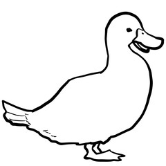 Simple and realistic line drawing of a duck