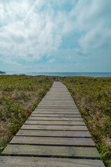 Fototapeta premium Wooden platforms that go towards the beach of Xago, in Asturias, surrounded by vegetation, on a sunny day (vertical view).