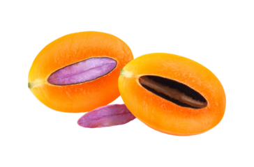 Marian Plum, (Bouea macrophylla Griffith). transparent png