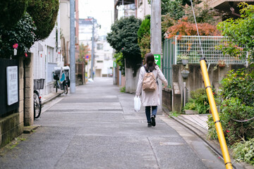 Fototapeta na wymiar 買い物袋を持って街を歩く女性の後ろ姿