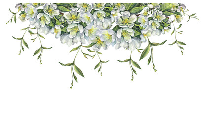 Obraz na płótnie Canvas Watercolor arrangement with branch apple blossoms isolated on white background. Spring aromatic flowers. Lush foliage for celebration. Border for wedding invite or 8 March. Wallpaper wrapping, rim