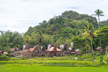 Plakat traditional houses of tana toraja in londa village, indonesia