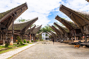 traditional houses of tana toraja in londa village, indonesia