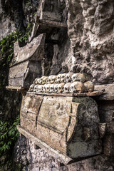 human skulls are exposed at londa graveyard, indonesia