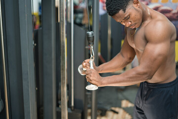 Fototapeta na wymiar Gaining Strength and Vitality: Bodybuilding at the Gym
