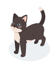 Isometric black cat