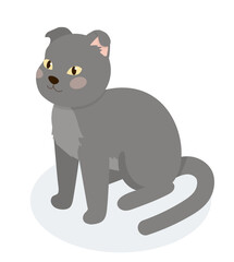 Isometric grey cat
