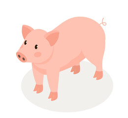 Isometric farm pig concept