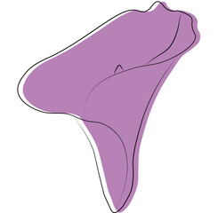 Calla Lily Flower