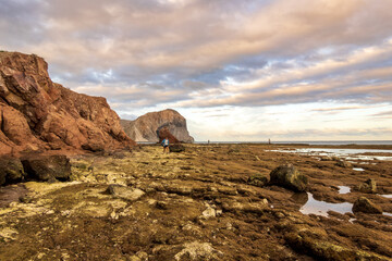 A young woman walks toward camera on a desert beach at low tide with a promintory and evening clouds in the background.  shot on the sea of cortez in baja de california sur mexico