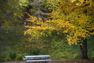 Jogger Enjoys Fall Run at Steele Creek Park