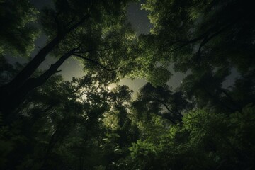 A night-time forest with lush green trees and leaves, gazing upwards into the canopy. Generative AI
