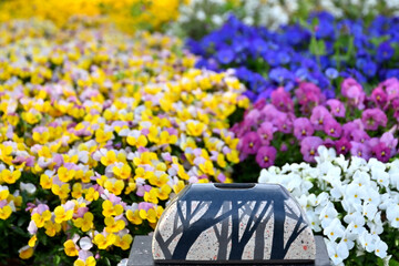 花の器（焼き物と自然と季節の香り）