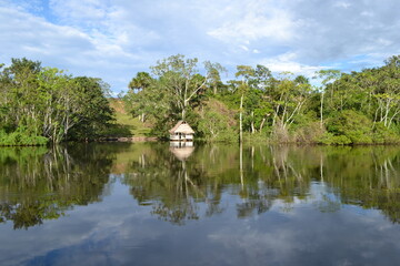 Fototapeta na wymiar Peru - Amazônia