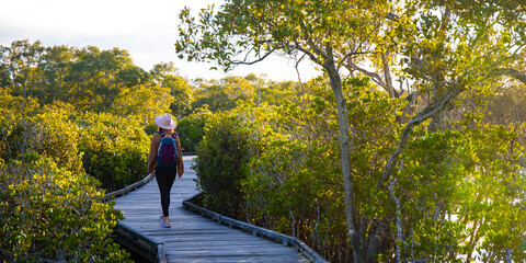 A beautiful girl in a hat walks along a wooden boardwalk and admires the lush mangrove forest on...