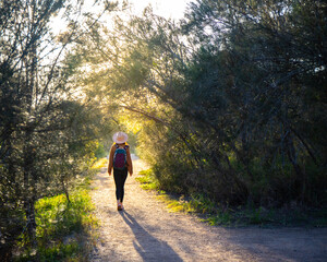 A beautiful girl in a hat walks along a wooden boardwalk and admires the lush mangrove forest on Nudgee beach, Brisbane, Queensland, Australia