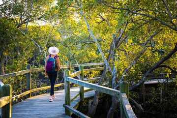 A beautiful girl in a hat walks along a wooden boardwalk and admires the lush mangrove forest on Nudgee beach, Brisbane, Queensland, Australia © Jakub