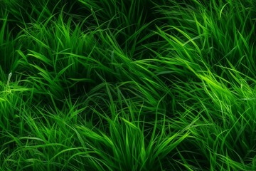 green grass background