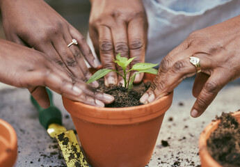Gardening simply does not allow one to be mentally old. Shot of two people gardening together in...