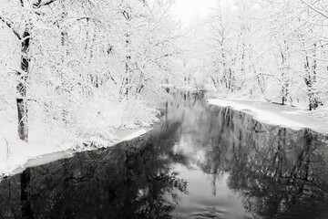 Black Stream flowing through fresh Winter snow covered trees