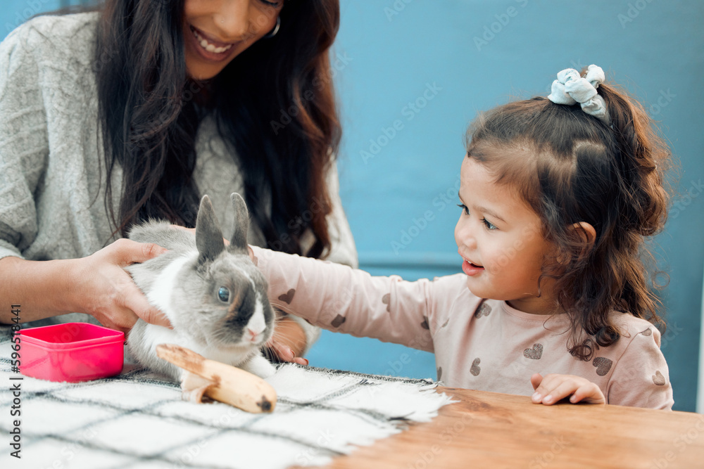 Canvas Prints Ill keep you safe. Shot of a mother and daughter feeding their pet rabbit at home.