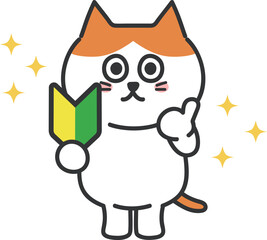 Happy orange tabby cat getting driver's license with Japanese beginner mark for driving, vector illustration.