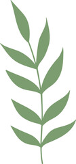 Fototapeta premium Leaf Illustration