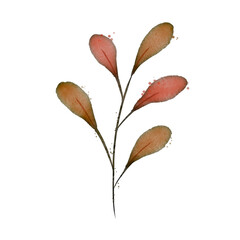 watercolor leaves isolated on white