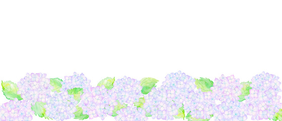 紫色の紫陽花の花々が咲いている様子。水彩絵の具で描いた背景透過のイラスト。
