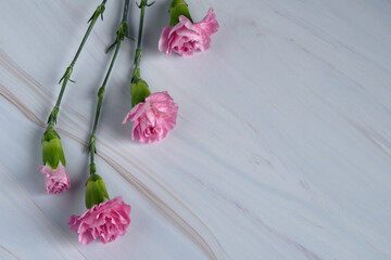 カーネーション スタイリング 母の日 テーブルコーディネート