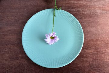 薄ピンクの花　スタイリング　テーブル　コーディネイト　お皿　テーブル