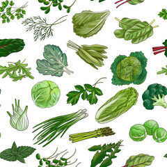 Naklejka na ściany i meble drawing seamless pattern with green leaf vegetables and cabbage at white background, hand drawn illustration