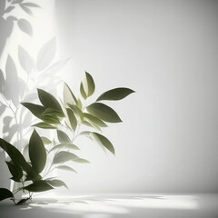 Minimalistic light background with blurred foliage shadow on a white wall. Beautiful background for presentation with with smooth floor.