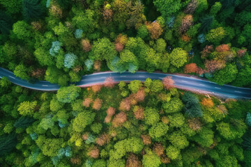 Aerial view road in the middle forest, Top view road going through green forest adventure, Ecosystem ecology healthy environment road trip travel.